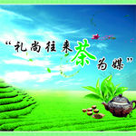 茶