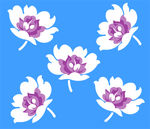数码印花面料花纹时尚图案