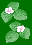 数码印花面料花纹时尚图案