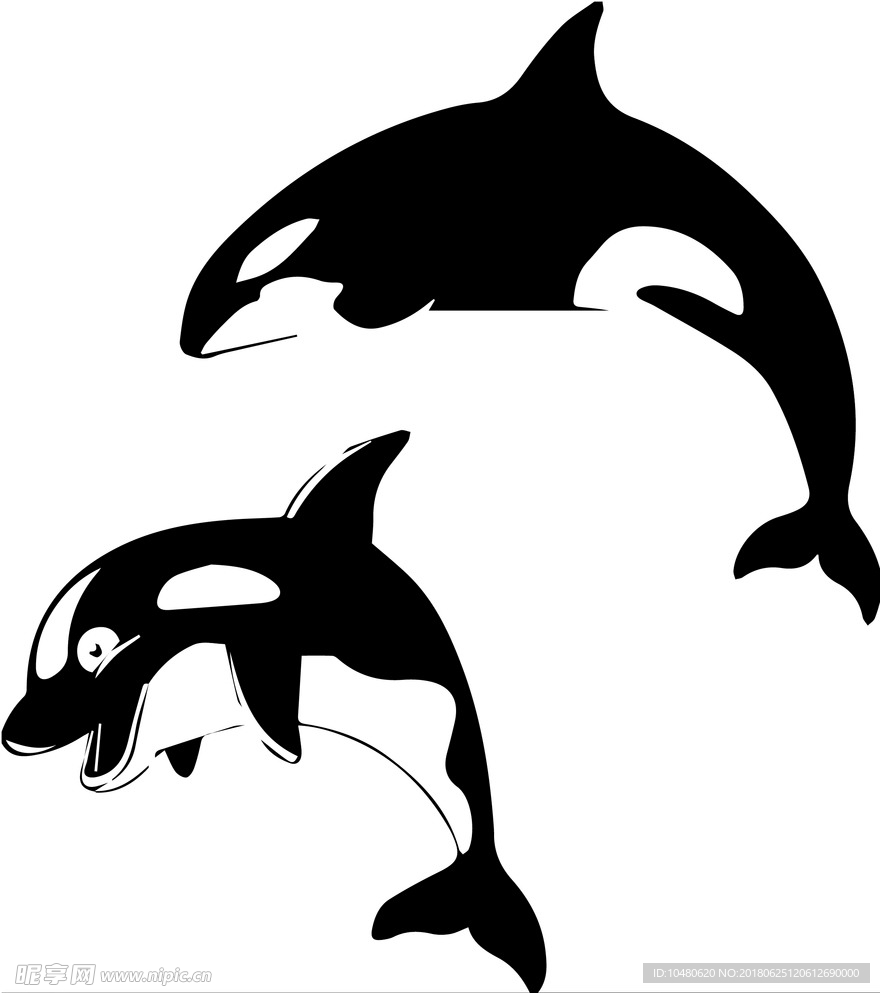 黑白海豚