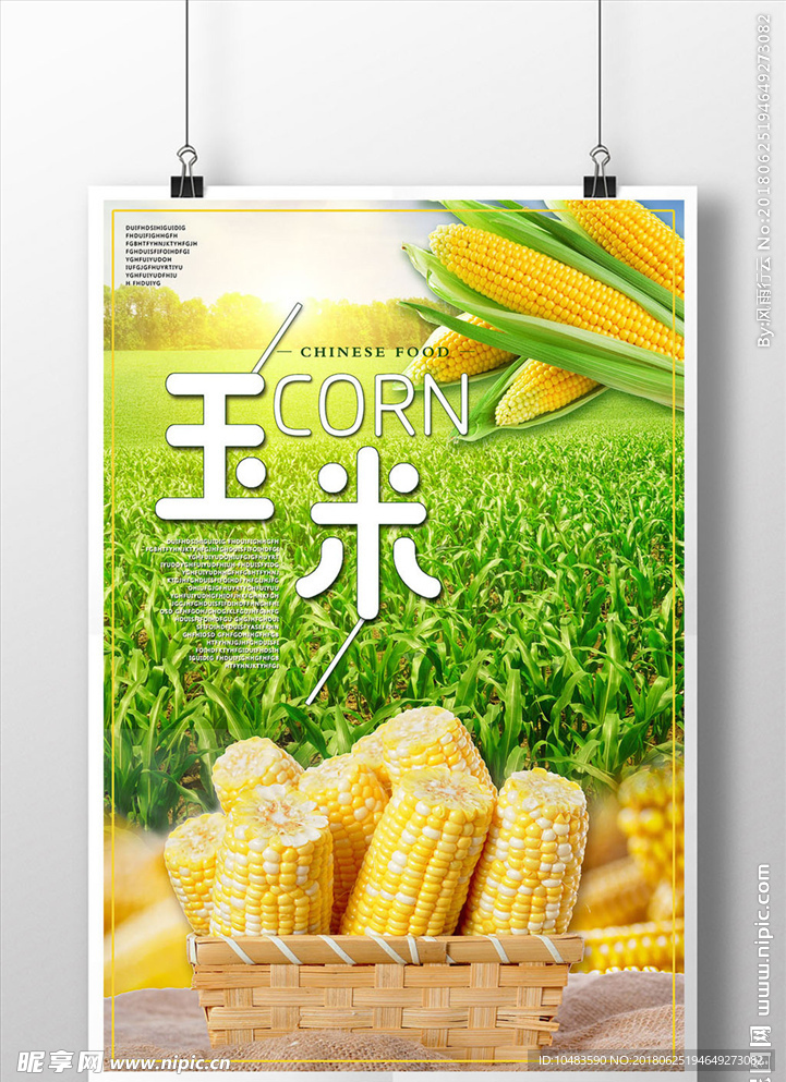 玉米海报