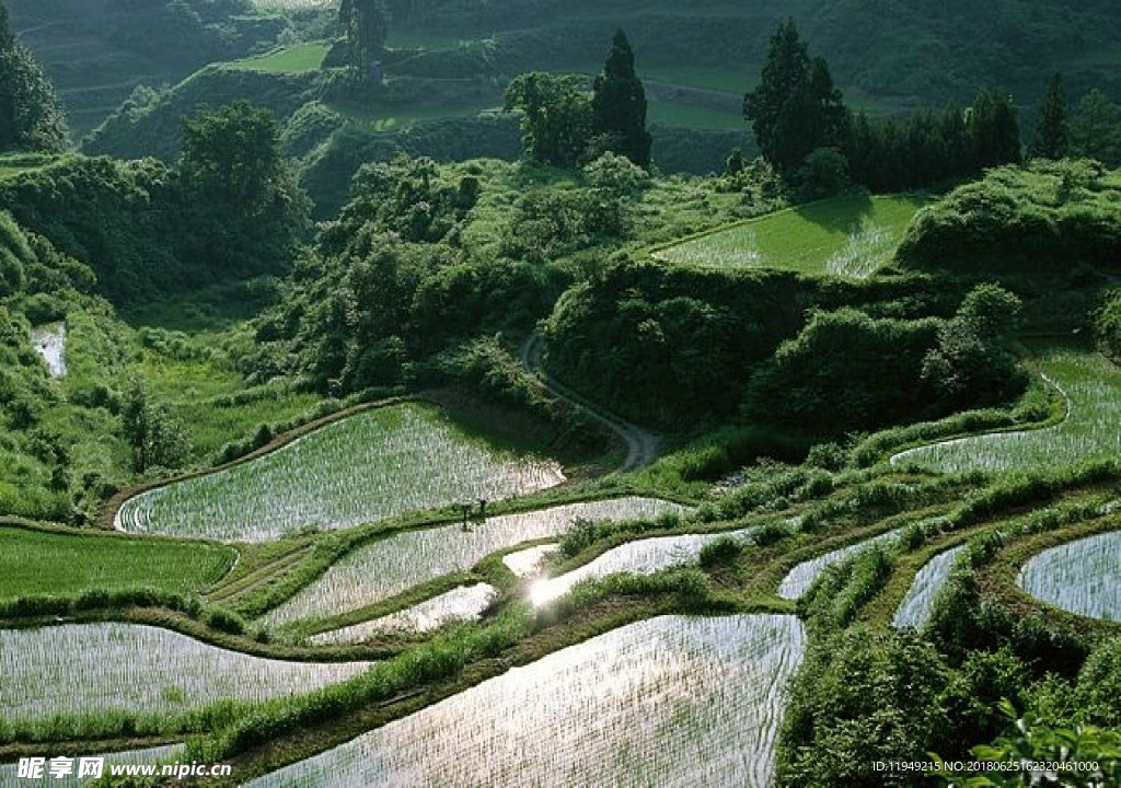 绿色风景图片 自然风光图片