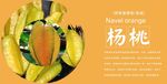 杨桃展板