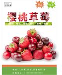 樱桃草莓海报