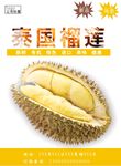 榴莲海报