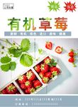 草莓海报