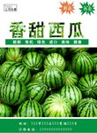 西瓜海报