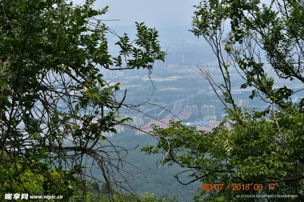 紫金山