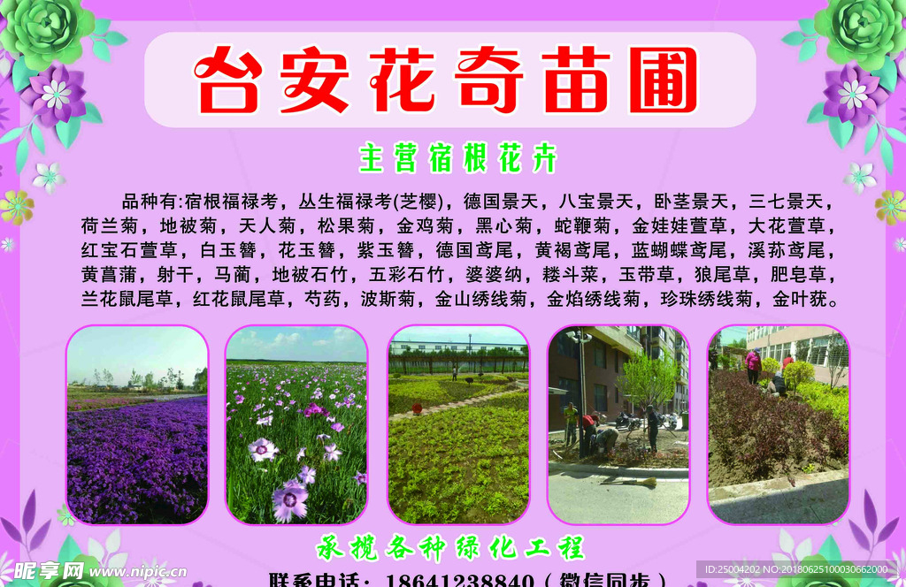 宣传彩页