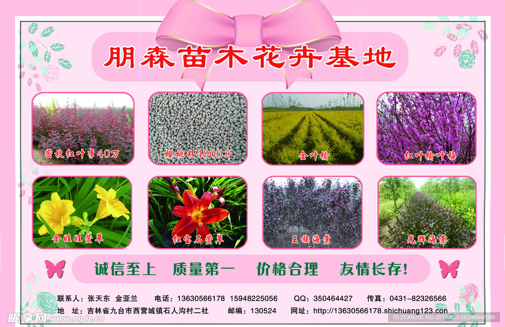 宣传彩页