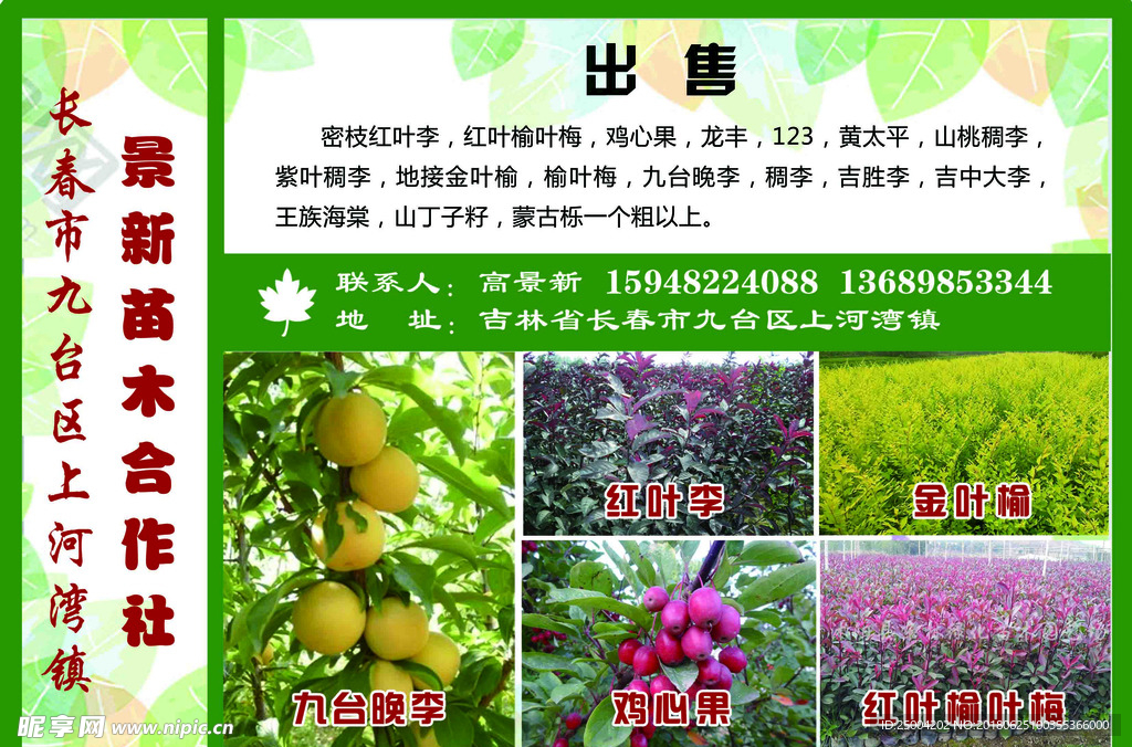 宣传彩页