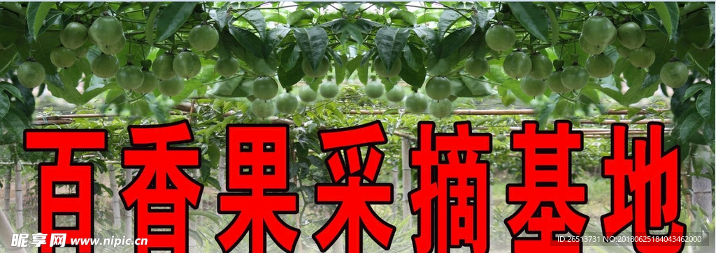 基地