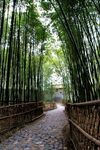 陕西 汉中 留坝张良庙 旅游