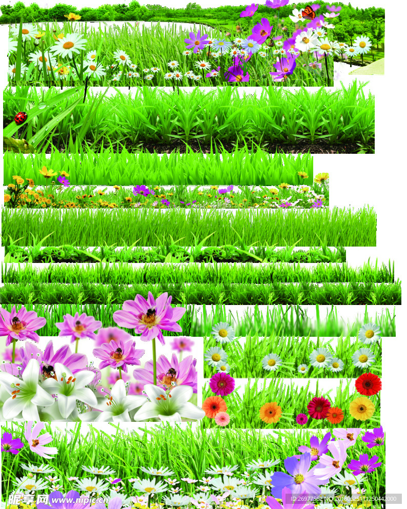 花草素材