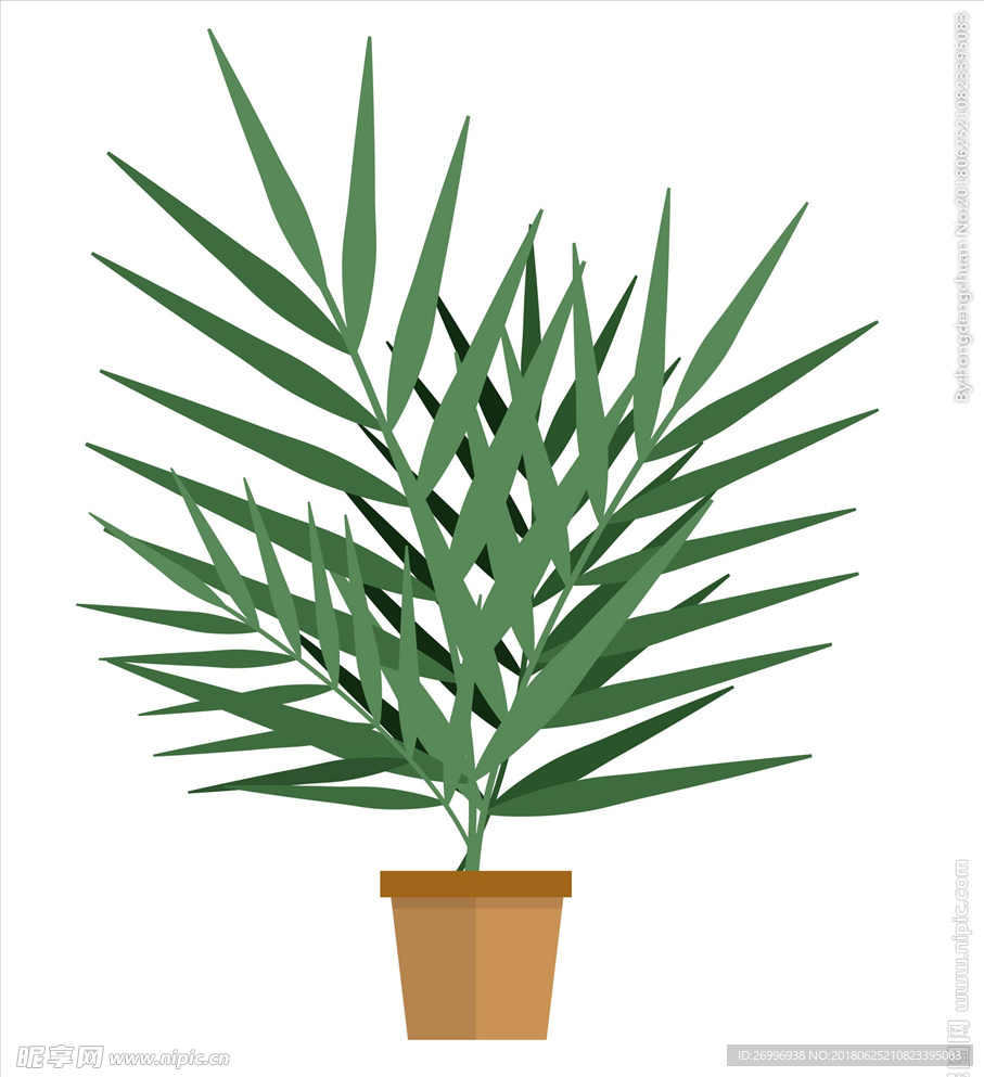 绿植图片