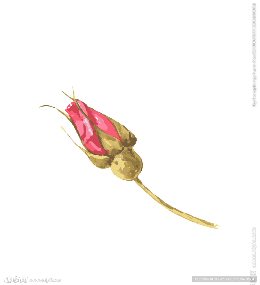 花图片