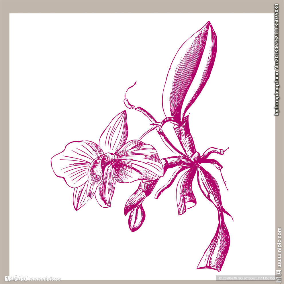素描图片
