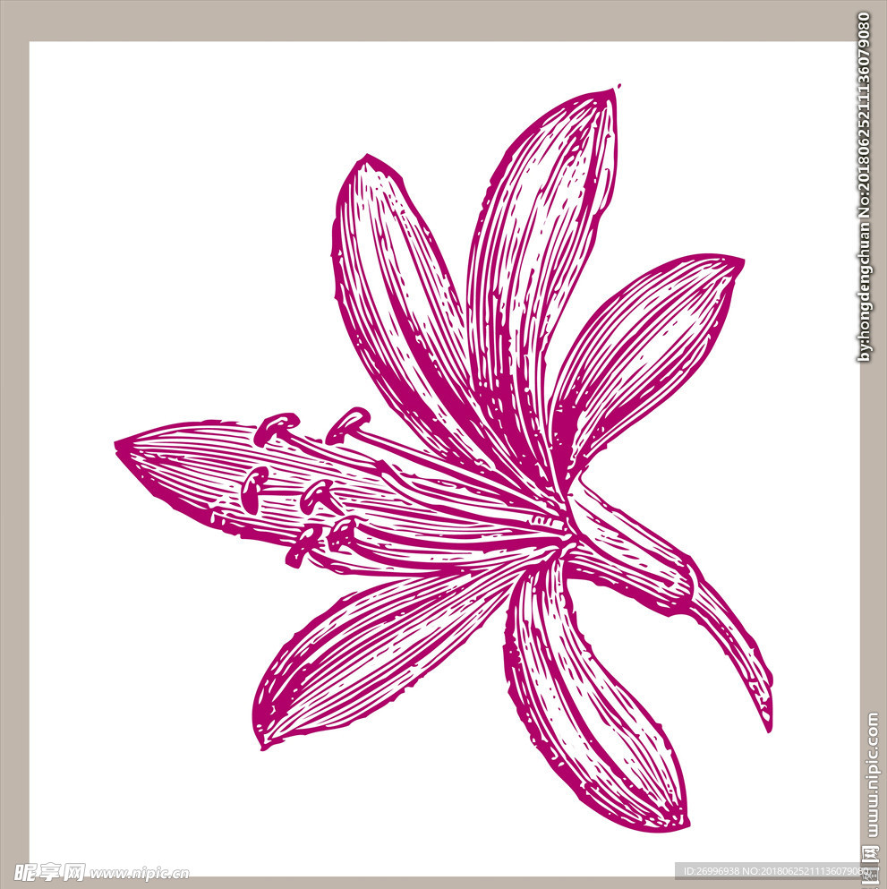 素描图片