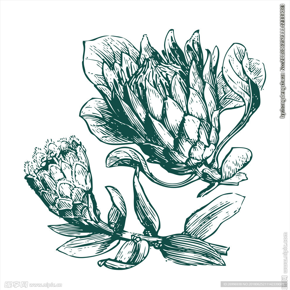 素描图片