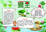 节气小报
