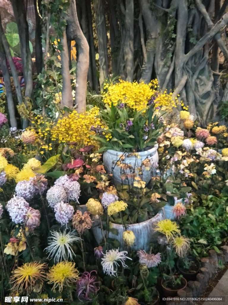 花卉