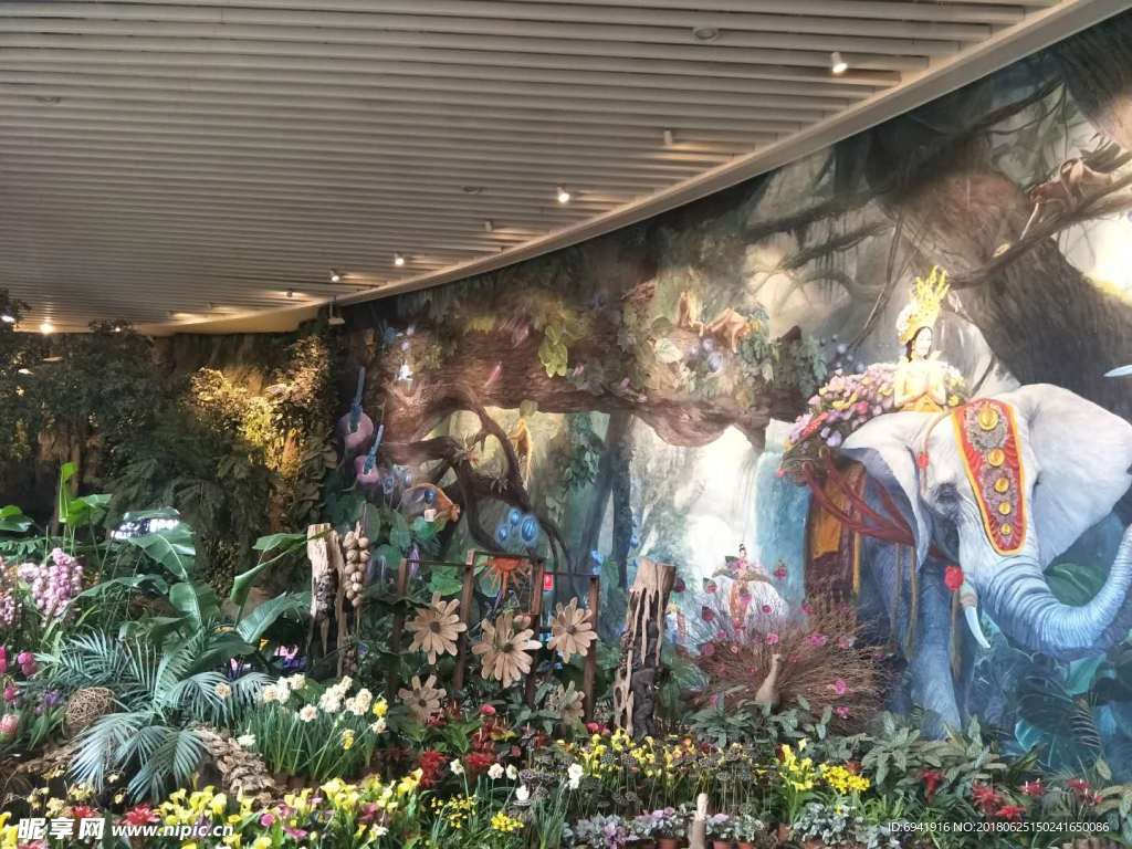花卉