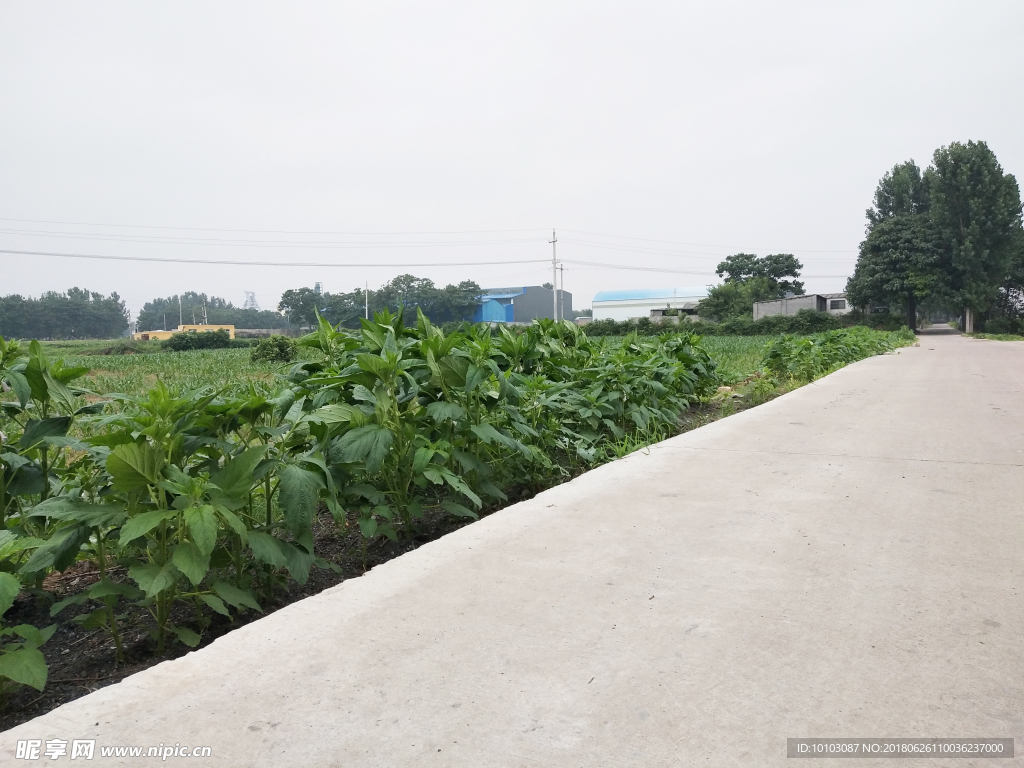 乡间道路