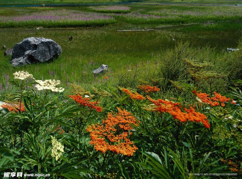 自然风光图片    唯美风景
