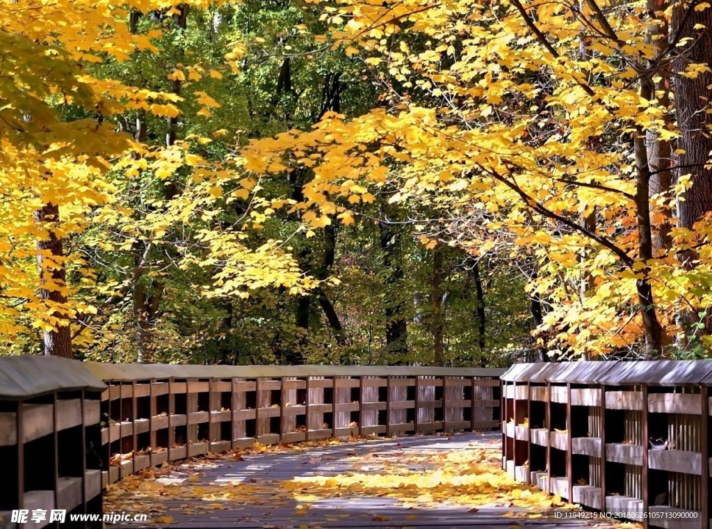 自然风光图片    唯美风景