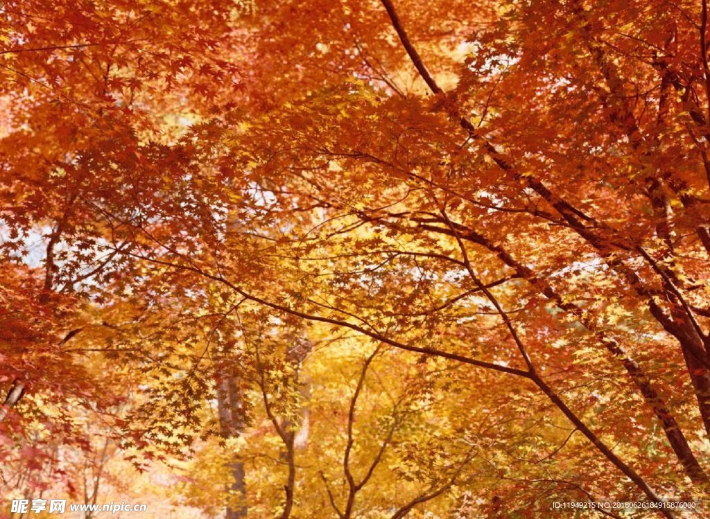 自然美景      自然景观