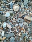 河边的石头