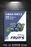 蓝莓促销海报