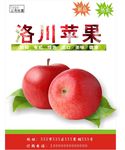 苹果海报