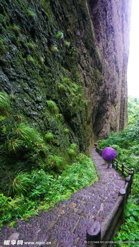 江郞山山道