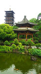 醉景园内风景