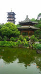 醉景园内风情