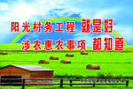 阳光村务工程
