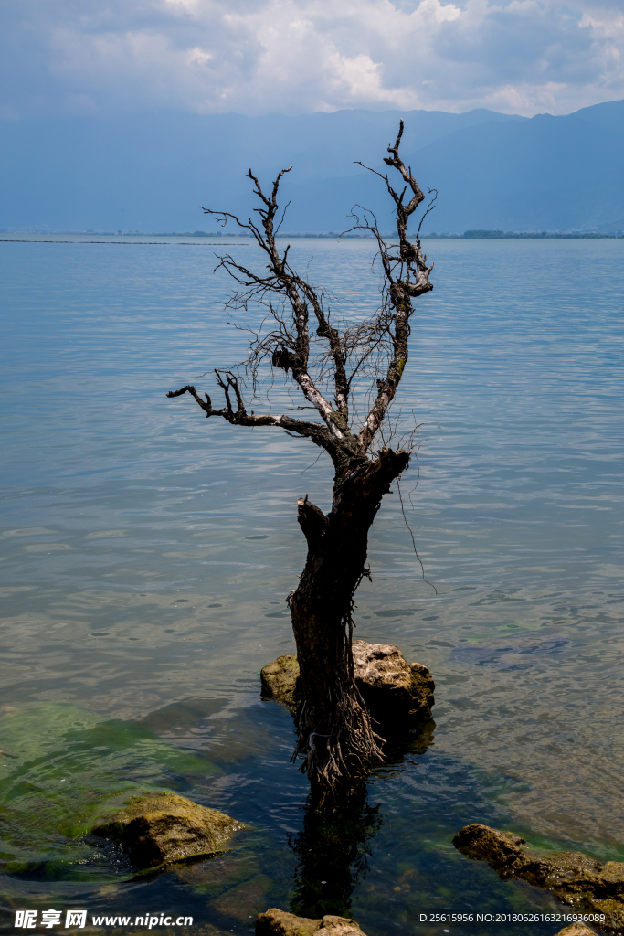 大理洱海