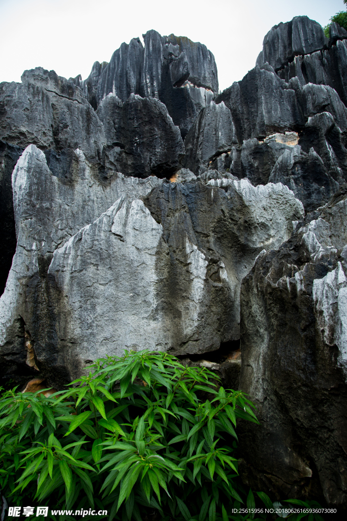 石林风景区