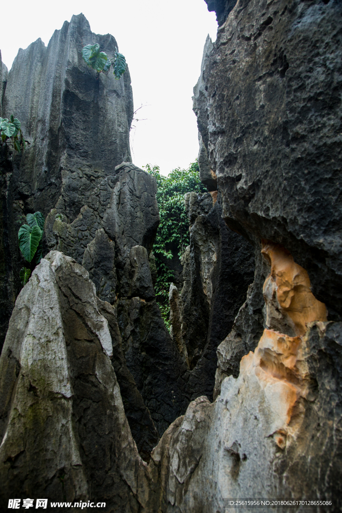 石林风景区