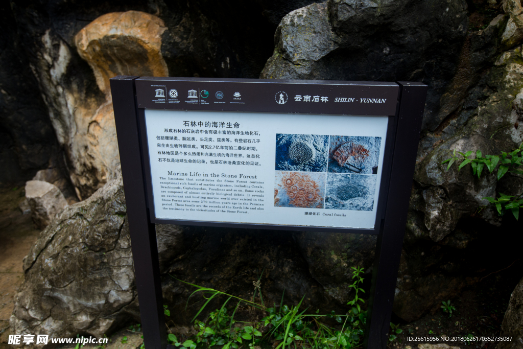 石林风景区