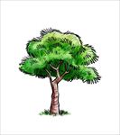 矢量树木图片