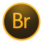 Br图标