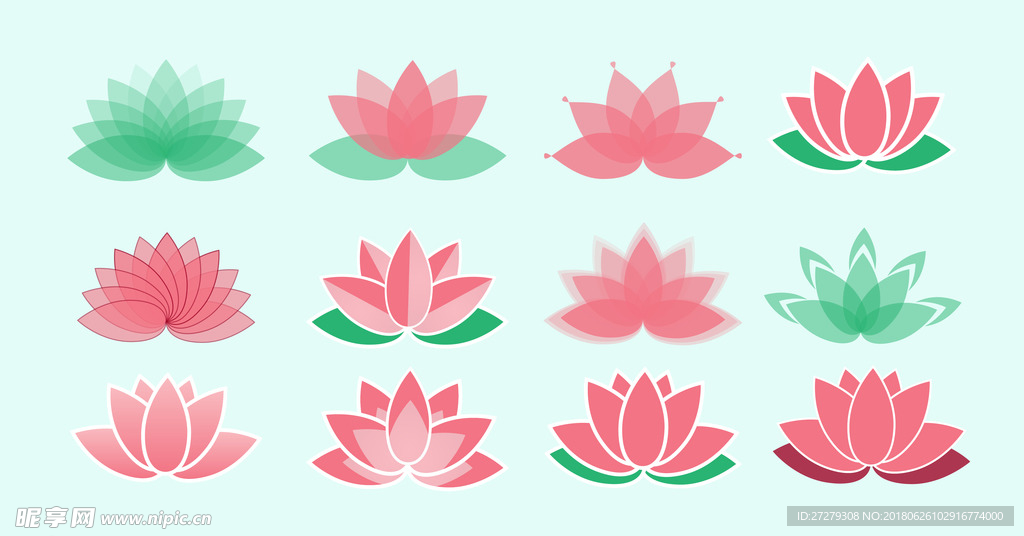 荷花