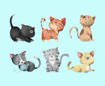 猫