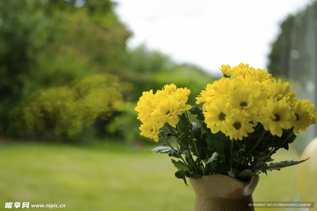 黄色菊花插花图片