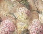花素材背景     花纹花边