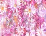 花素材背景     花纹花边