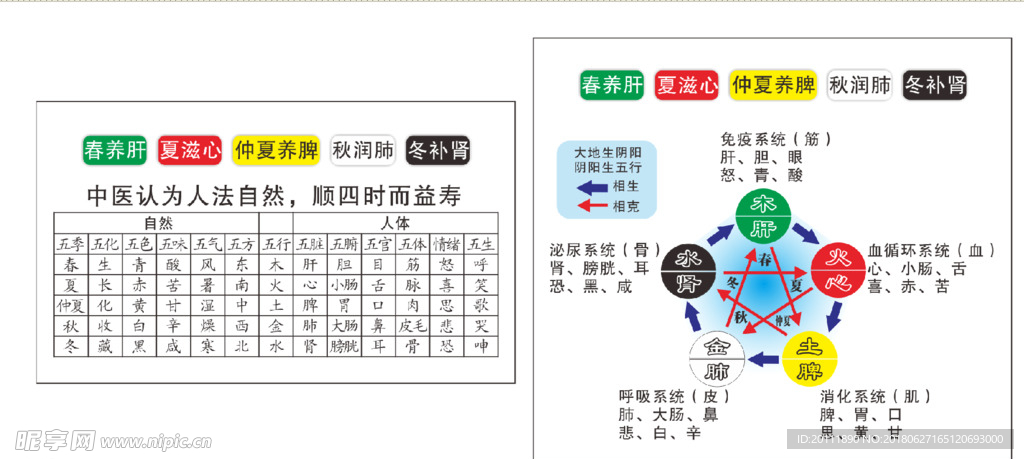 四季五行养生图