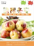 冬枣海报